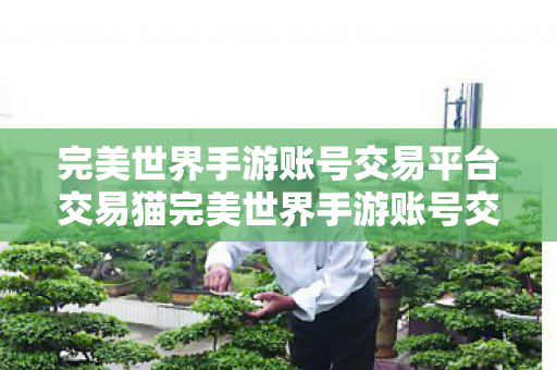 完美世界手游账号交易平台交易猫完美世界手游账号交易平台推荐图片