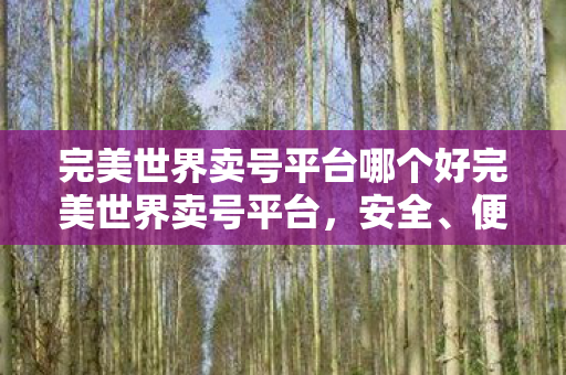 完美世界卖号平台哪个好完美世界卖号平台,安全、便捷的号主选择,安全便捷之选,完美世界卖号平台 完美世界卖号平台哪个好完美世界卖号平台,安全、便捷的号主选择,安全便捷之选,完美世界卖号平台