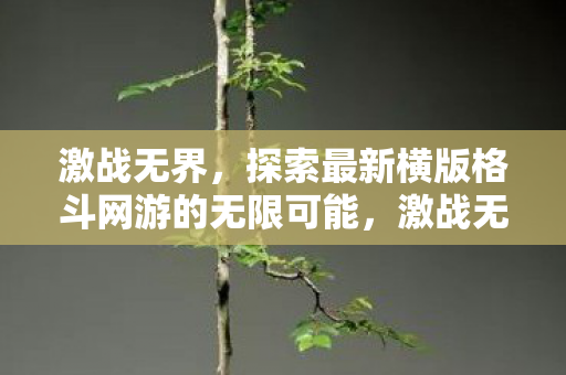 激战无界,探索最新横版格斗网游的无限可能,激战无界,探索横版格斗网游的无限可能 激战无界,探索最新横版格斗网游的无限可能,激战无界,探索横版格斗网游的无限可能