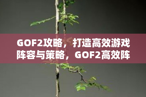 GOF2攻略，打造高效游戏阵容与策略，GOF2高效阵容与策略打造攻略