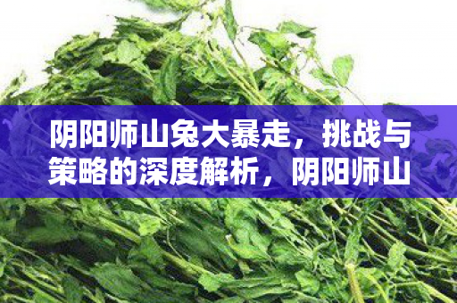阴阳师山兔大暴走，挑战与策略的深度解析，阴阳师山兔大暴走，挑战与策略的深度剖析