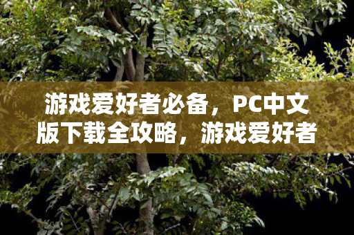 游戏爱好者必备，PC中文版下载全攻略，游戏爱好者必备，PC中文版下载全攻略