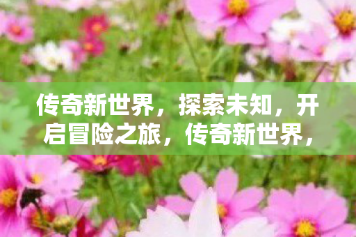 传奇新世界，探索未知，开启冒险之旅，传奇新世界，探索未知，开启冒险之旅