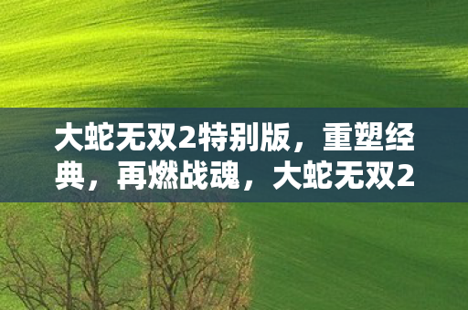 大蛇无双2特别版,重塑经典,再燃战魂,大蛇无双2特别版,重塑经典,再燃战魂 大蛇无双2特别版,重塑经典,再燃战魂,大蛇无双2特别版,重塑经典,再燃战魂