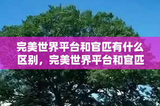 完美世界平台和官匹有什么区别，完美世界平台和官匹的区别