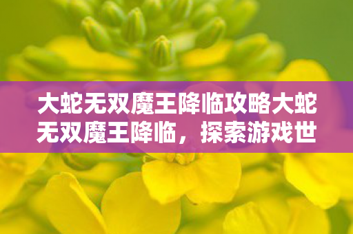 大蛇无双魔王降临攻略大蛇无双魔王降临，探索游戏世界的无限可能，大蛇无双魔王降临攻略，探索游戏世界的无限可能