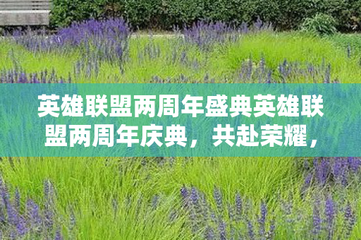 英雄联盟两周年盛典英雄联盟两周年庆典，共赴荣耀，见证成长，英雄联盟两周年庆典，共赴荣耀，见证成长