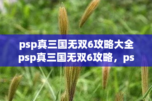 psp真三国无双6攻略大全psp真三国无双6攻略图片