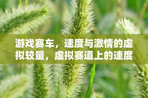 游戏赛车,速度与激情的虚拟较量,虚拟赛道上的速度与激情,游戏赛车竞技 游戏赛车,速度与激情的虚拟较量,虚拟赛道上的速度与激情,游戏赛车竞技