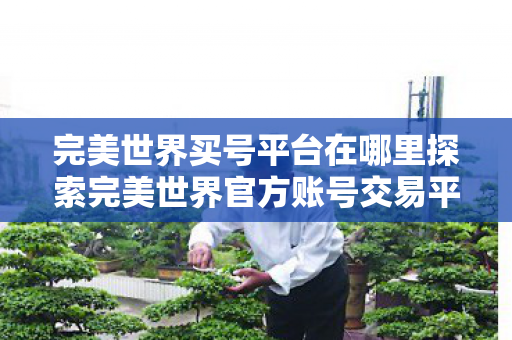 完美世界买号平台在哪里探索完美世界官方账号交易平台图片