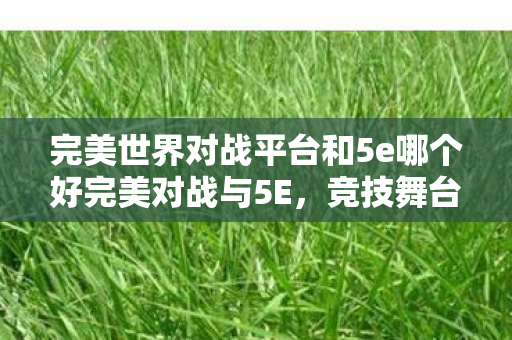 完美世界对战平台和5e哪个好完美对战与5E图片