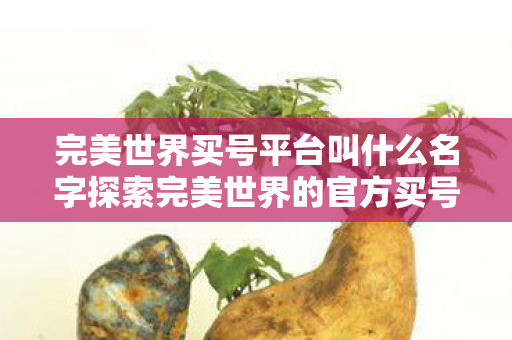 完美世界买号平台叫什么名字探索完美世界的官方买号平台图片