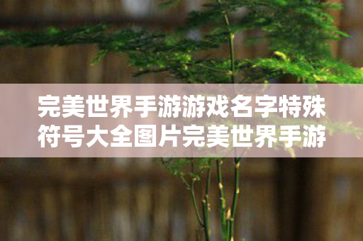 完美世界手游游戏名字特殊符号大全图片完美世界手游游戏名字特殊符号大全图片图片