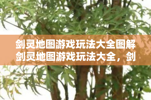 剑灵地图游戏玩法大全图解剑灵地图游戏玩法大全图片