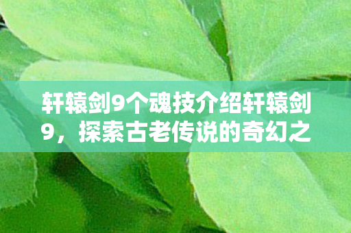 轩辕剑9个魂技介绍轩辕剑9,探索古老传说的奇幻之旅,轩辕剑9,探索古老传说的奇幻魂技之旅 轩辕剑9个魂技介绍轩辕剑9,探索古老传说的奇幻之旅,轩辕剑9,探索古老传说的奇幻魂技之旅