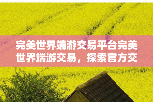 完美世界端游交易平台完美世界端游交易，探索官方交易平台的魅力与安全性，探索官方交易平台的魅力与安全性，完美世界端游交易