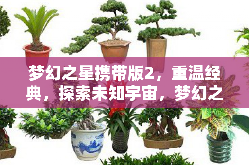 梦幻之星携带版2重温经典图片