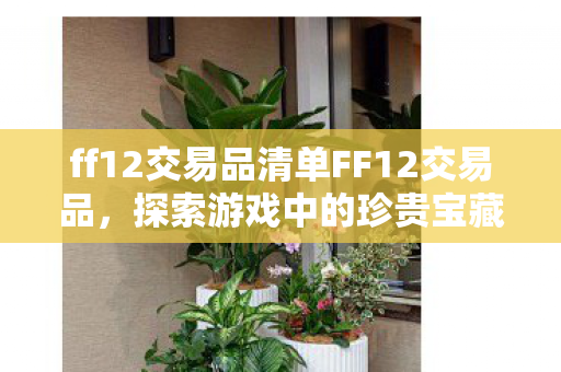 ff12交易品清单FF12交易品，探索游戏中的珍贵宝藏，FF12交易品清单，探索游戏中的珍贵宝藏