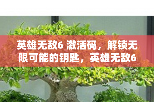 英雄无敌6 激活码，解锁无限可能的钥匙，英雄无敌6，解锁无限可能的激活码