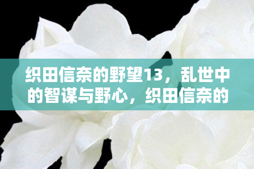 织田信奈的野望13,乱世中的智谋与野心,织田信奈的野望13,乱世智谋与野心的较量 织田信奈的野望13,乱世中的智谋与野心,织田信奈的野望13,乱世智谋与野心的较量