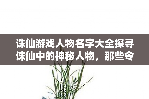诛仙游戏人物名字大全探寻诛仙中的神秘人物，那些令人难以忘怀的名字，探寻诛仙中的神秘人物，那些令人难以忘怀的名字