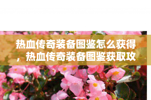 热血传奇装备图鉴怎么获得图片