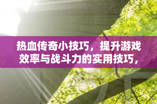 提升游戏效率与战斗力的实用技巧图片