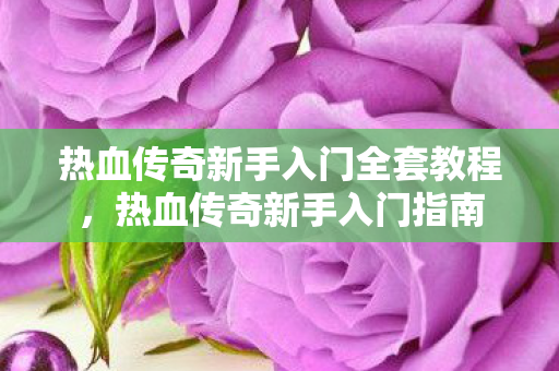 热血传奇新手入门全套教程图片