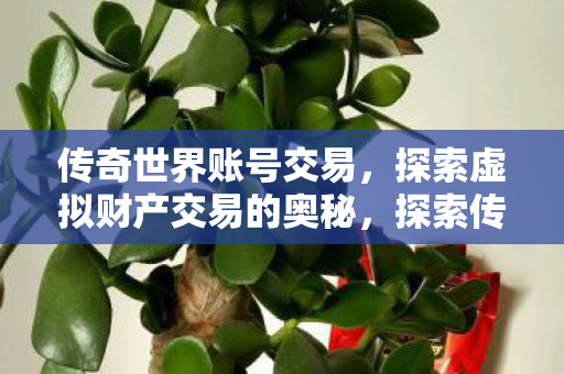 探索传奇世界账号交易的虚拟财产奥秘图片