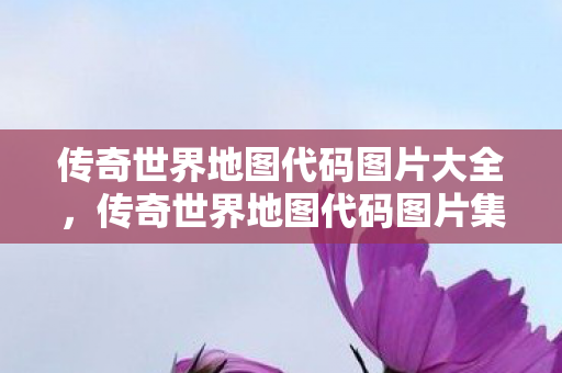 传奇世界地图代码图片大全图片