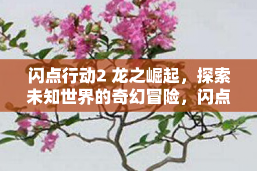 闪点行动2 龙之崛起,探索未知世界的奇幻冒险,闪点行动2,龙之崛起探索未知世界的奇幻冒险 闪点行动2 龙之崛起,探索未知世界的奇幻冒险,闪点行动2,龙之崛起探索未知世界的奇幻冒险