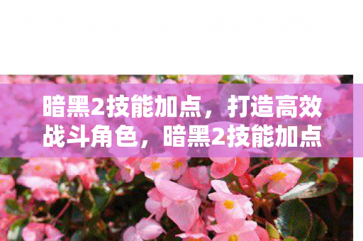暗黑2技能加点，打造高效战斗角色，暗黑2技能加点攻略，打造高效战斗角色