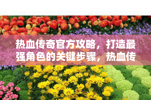 打造最强角色的关键步骤图片