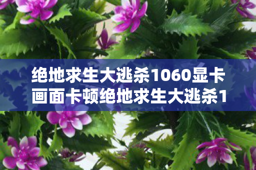 绝地求生大逃杀1060显卡画面卡顿绝地求生大逃杀1.0，策略与技巧的深度剖析，绝地求生大逃杀1.0，1060显卡画面卡顿的解决策略与技巧深度剖析