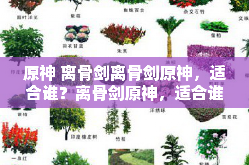 原神 离骨剑离骨剑原神,适合谁?离骨剑原神,适合谁使用? 原神 离骨剑离骨剑原神,适合谁?离骨剑原神,适合谁使用?