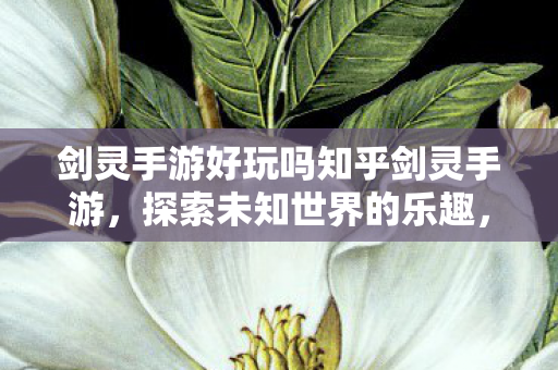 剑灵手游好玩吗知乎剑灵手游，探索未知世界的乐趣，探索未知世界的乐趣，剑灵手游好玩吗？