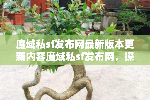 魔域私sf发布网最新版本更新内容魔域私sf发布网图片