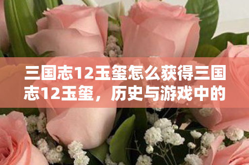 三国志12玉玺怎么获得三国志12玉玺,历史与游戏中的传奇宝物,三国志12,玉玺的传奇之旅与历史价值 三国志12玉玺怎么获得三国志12玉玺,历史与游戏中的传奇宝物,三国志12,玉玺的传奇之旅与历史价值