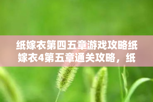 纸嫁衣第四五章游戏攻略纸嫁衣4第五章通关攻略,纸嫁衣第四章游戏攻略,解锁新挑战,顺利通关第五章 纸嫁衣第四五章游戏攻略纸嫁衣4第五章通关攻略,纸嫁衣第四章游戏攻略,解锁新挑战,顺利通关第五章