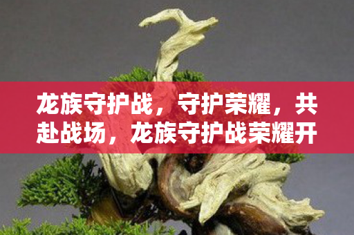 龙族守护战,守护荣耀,共赴战场,龙族守护战荣耀开启,共赴战场守护荣耀 龙族守护战,守护荣耀,共赴战场,龙族守护战荣耀开启,共赴战场守护荣耀