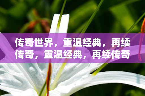 传奇世界图片