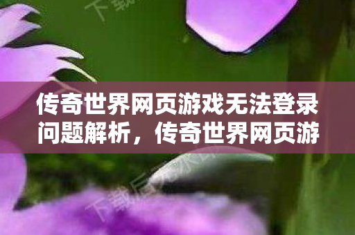 传奇世界网页游戏无法登录问题解析图片