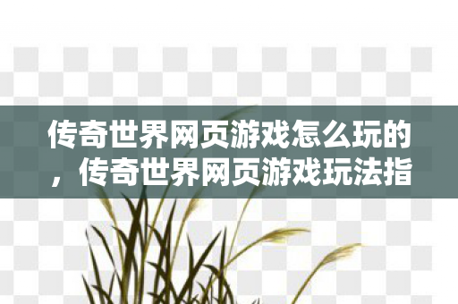 传奇世界网页游戏怎么玩的图片