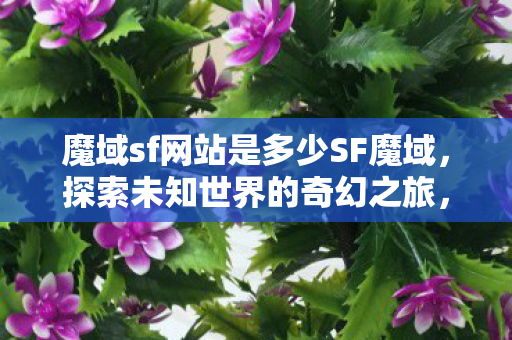 魔域sf网站是多少SF魔域图片