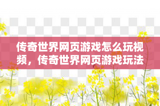 传奇世界网页游戏玩法视频教程图片