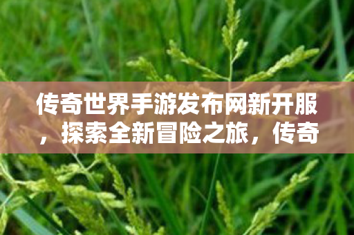 传奇世界手游发布网新开服图片