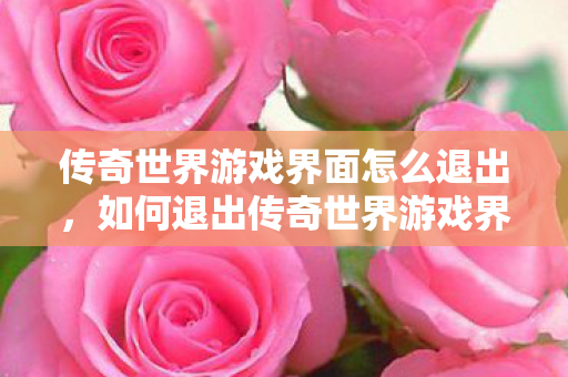 传奇世界游戏界面怎么退出图片