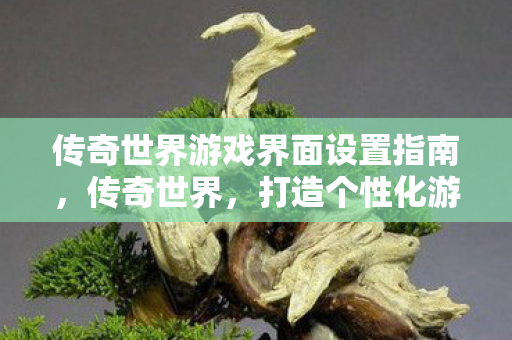 传奇世界游戏界面设置指南图片