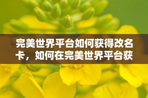 如何在完美世界平台获取改名卡图片