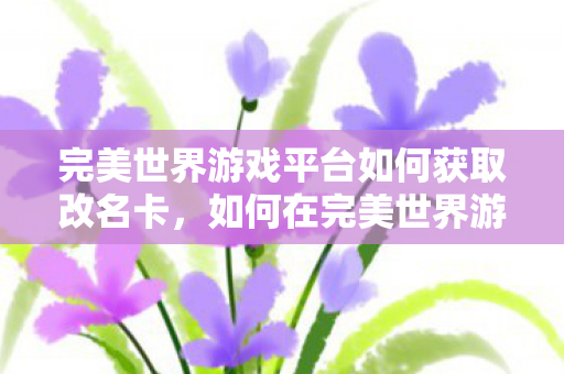 如何在完美世界游戏平台获取改名卡图片